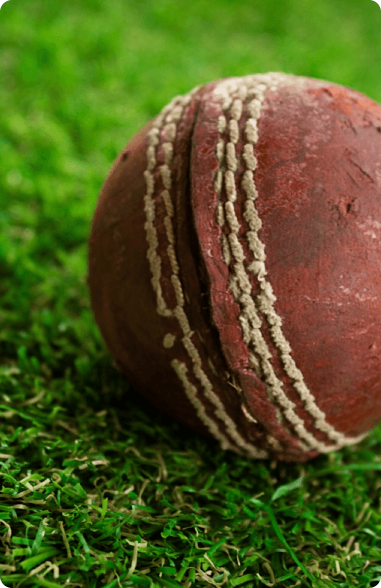 Cricket Ball